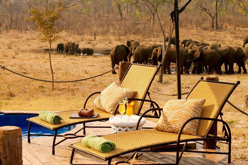 Sasana Tours and Safaris - Elephant Safari - Zimbabwe Tours and Safaris