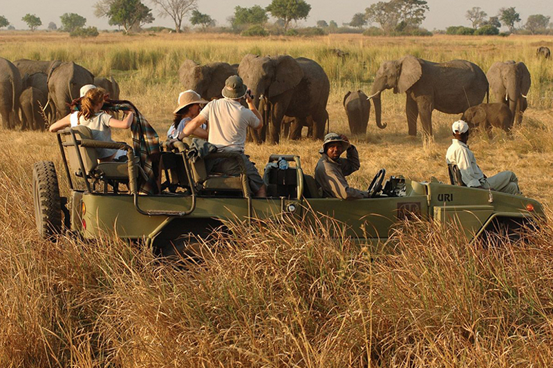 Sasana Tours and Safaris - Safari Tours - Game Drive Safari - Zimbabwe Tours and Safaris
