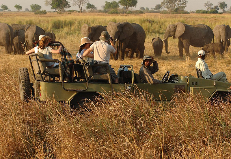 Sasana Tours and Safaris - Safari Tours - Game Drive Safari - Zimbabwe Tours and Safaris